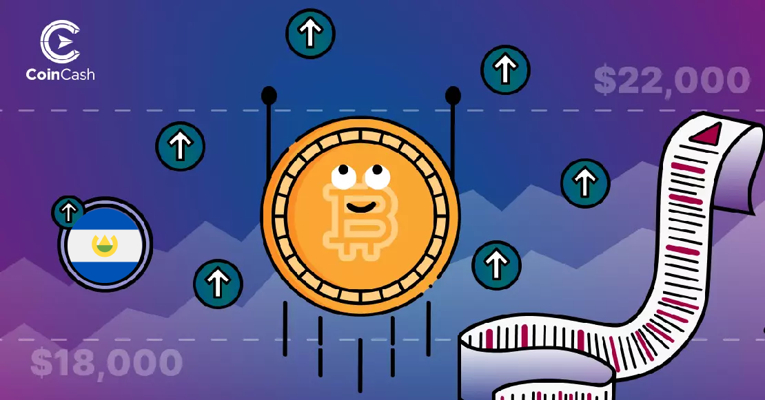 Bitcoin Hodler hírek - 2. hét